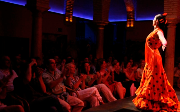 Experiencia Flamenco - Imagen 3