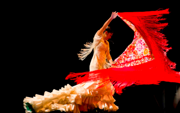 Experiencia Flamenco - Imagen 4